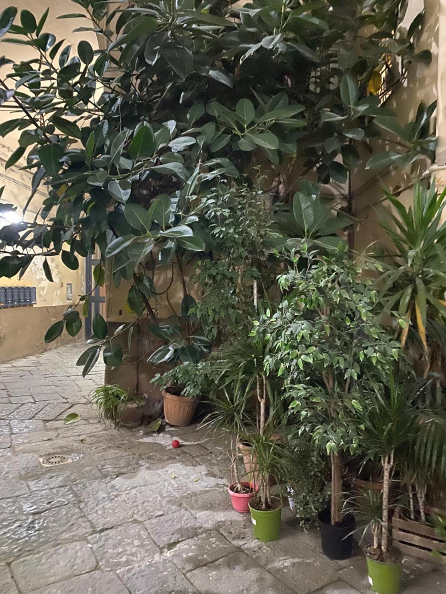 The Paradise House Napoli Eksteriør billede